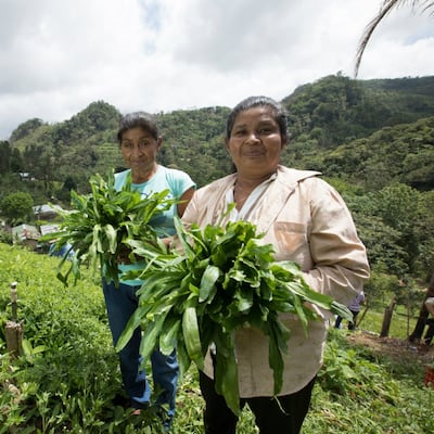 Segunda y Saturnina, sembradoras en la cuenca del Canal de Panamá