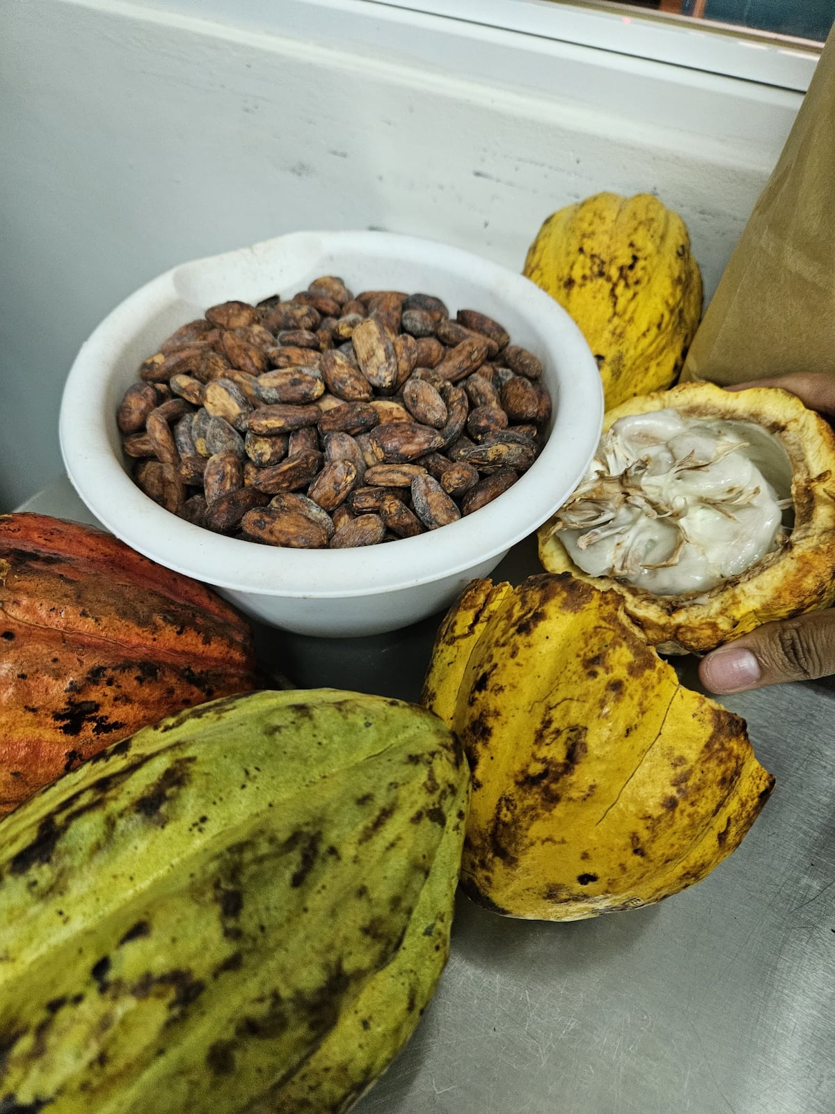 Un taller de chocolate para aprender sobre su dulce beneficio para la salud