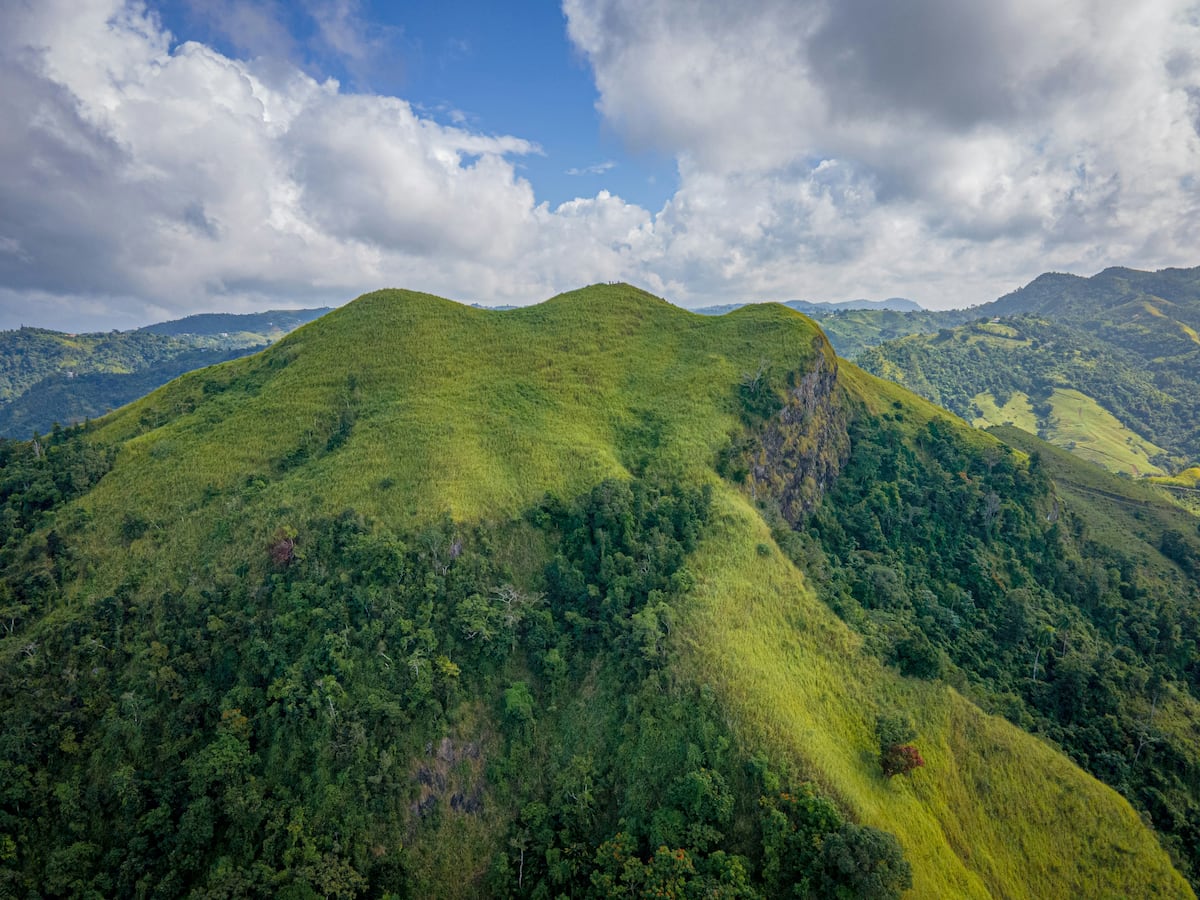 Puerto Rico, latido caribeño en verde y azul