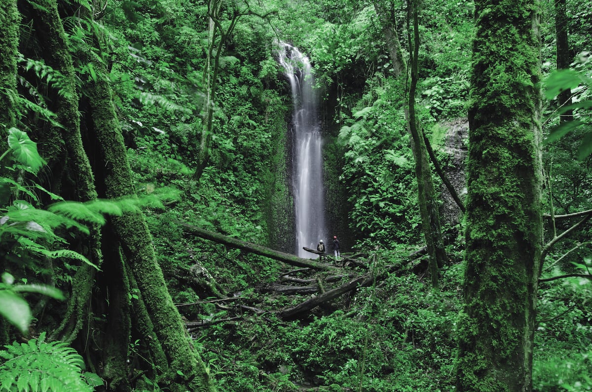 Chiriquí, la joya panameña entre cafetales y un volcán
