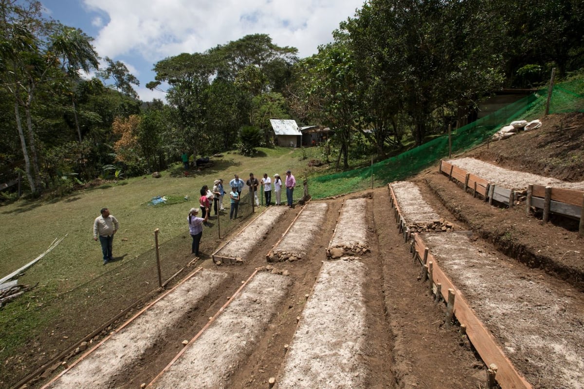 Segunda y Saturnina, sembradoras en la cuenca del Canal de Panamá