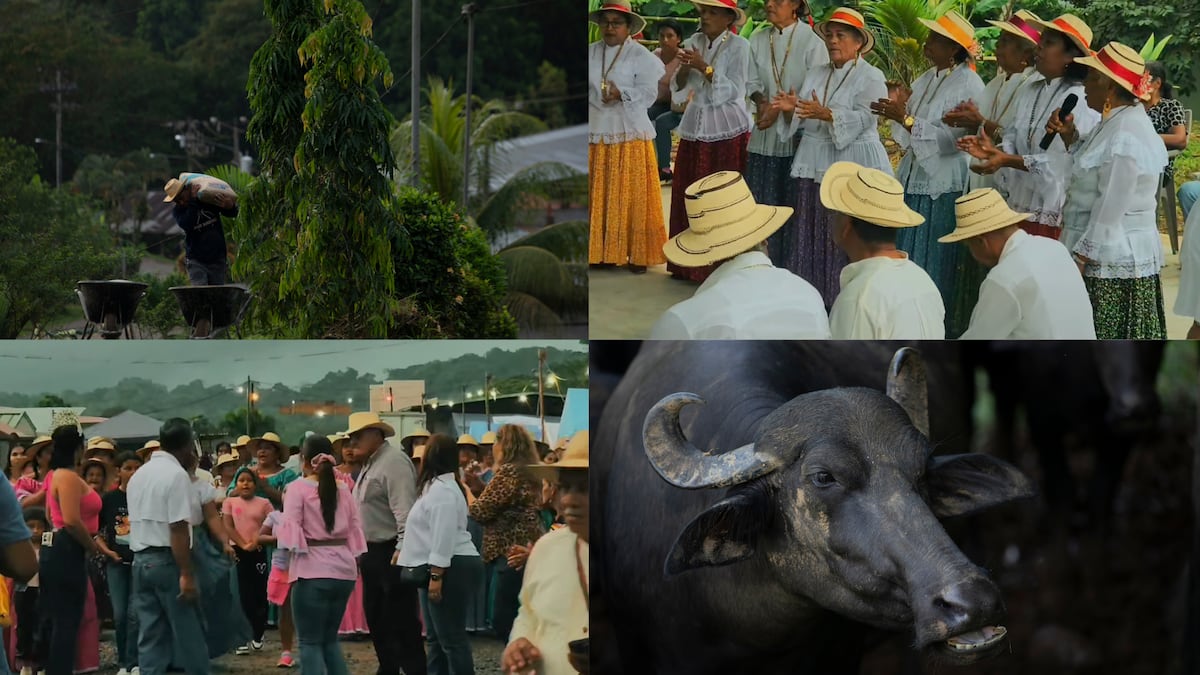 ¿Qué hacer este fin de semana en Panamá?