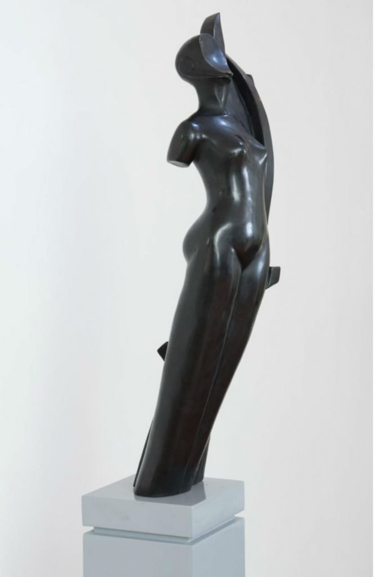 Xenia ‘Chini’ Carles de Ameglio: ‘Juntos tomamos la decisión de la candidatura’