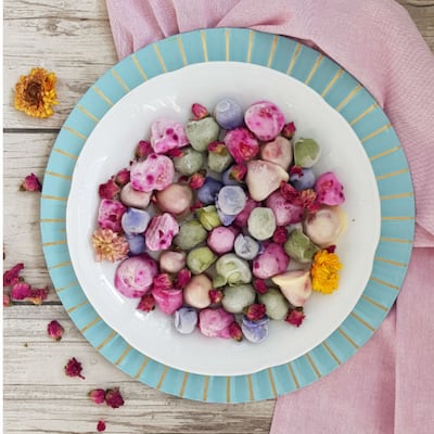 Frutas con yogur congelado