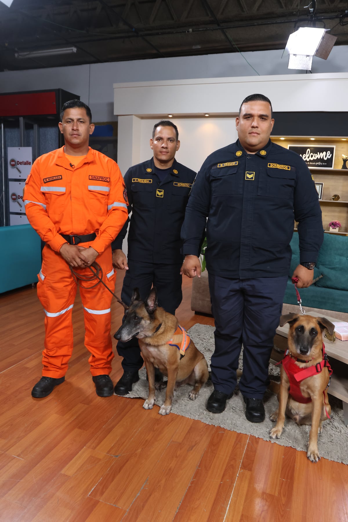 Entre ladridos y esperanza: la historia de los perros panameños que viajaron a Venezuela para buscar sobrevivientes