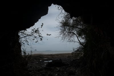 Descubre las aves de Arraiján: jornada de aviturismo en la playa de Vista Alegre 