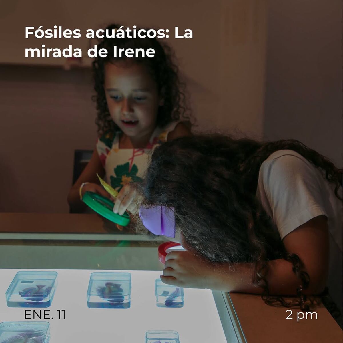 5 actividades para realizar este fin de semana en Panamá