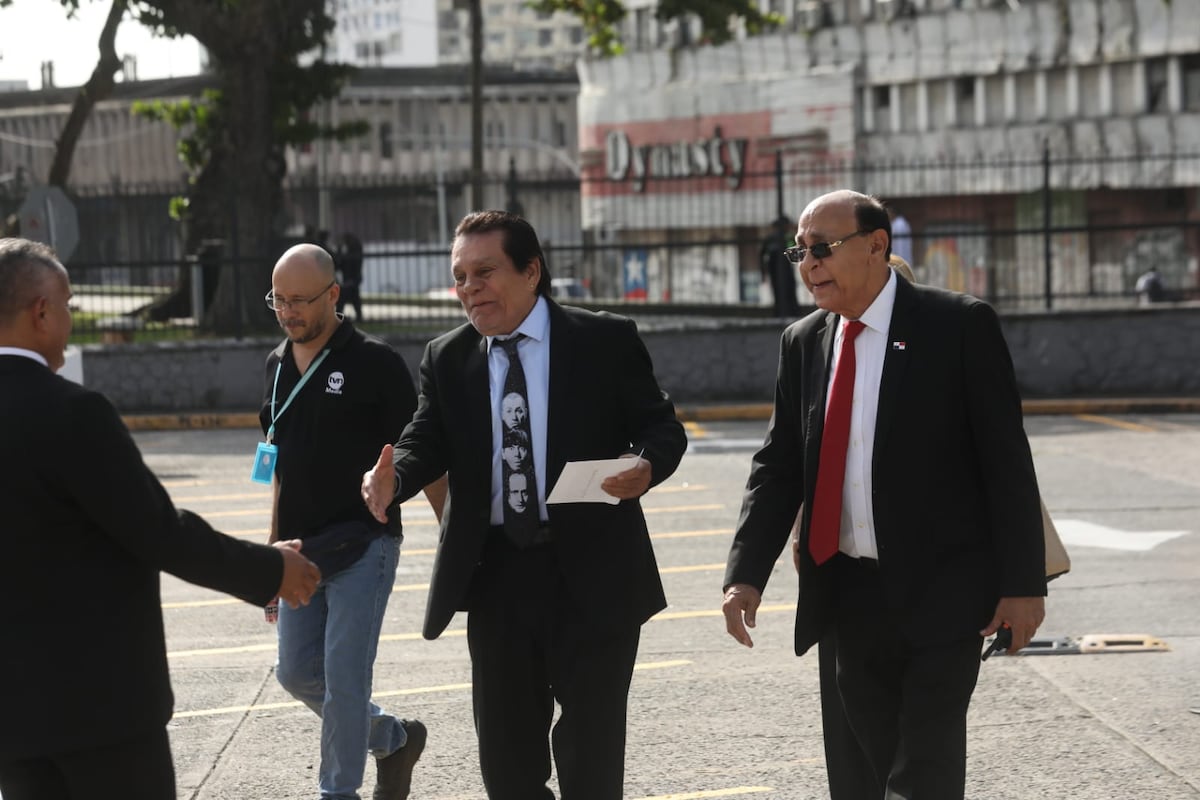 Mola, mensajes y guiño retro: las corbatas que destacaron en la Asamblea Nacional