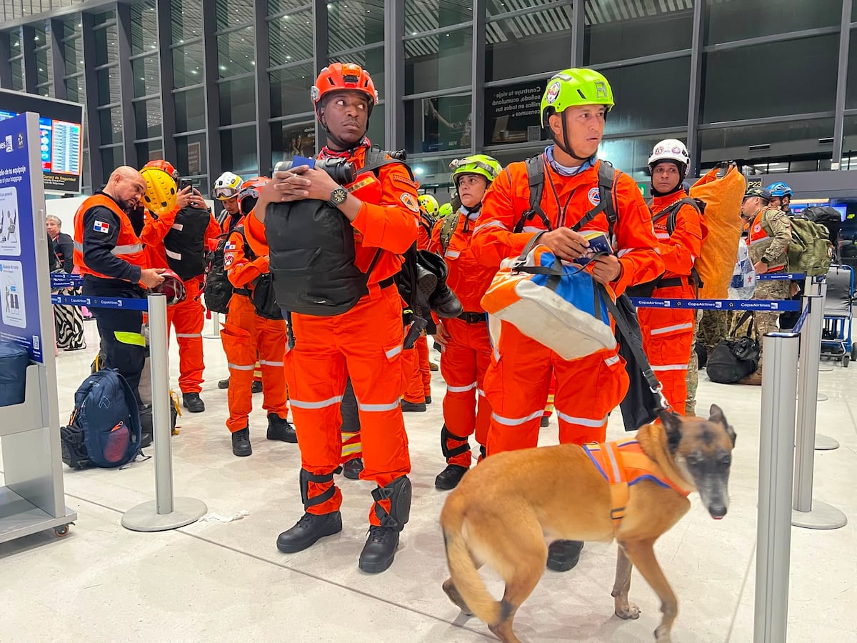 Arya, Rex, Baileys y Blade, los perros rescatistas panameños que han trabajado en la búsqueda de sobrevivientes en Venezuela