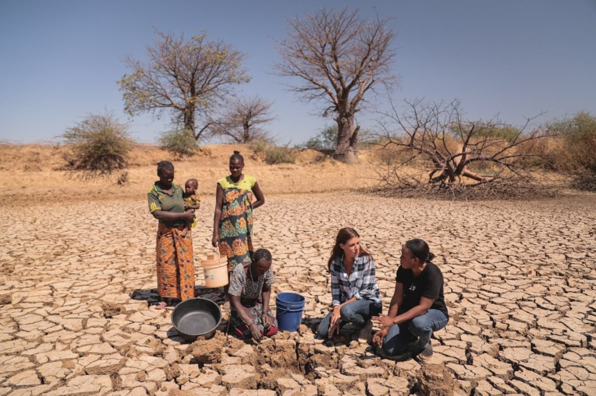 ‘Solo tomamos algo que existía, y lo llevamos a un lugar donde lo necesitaban’.