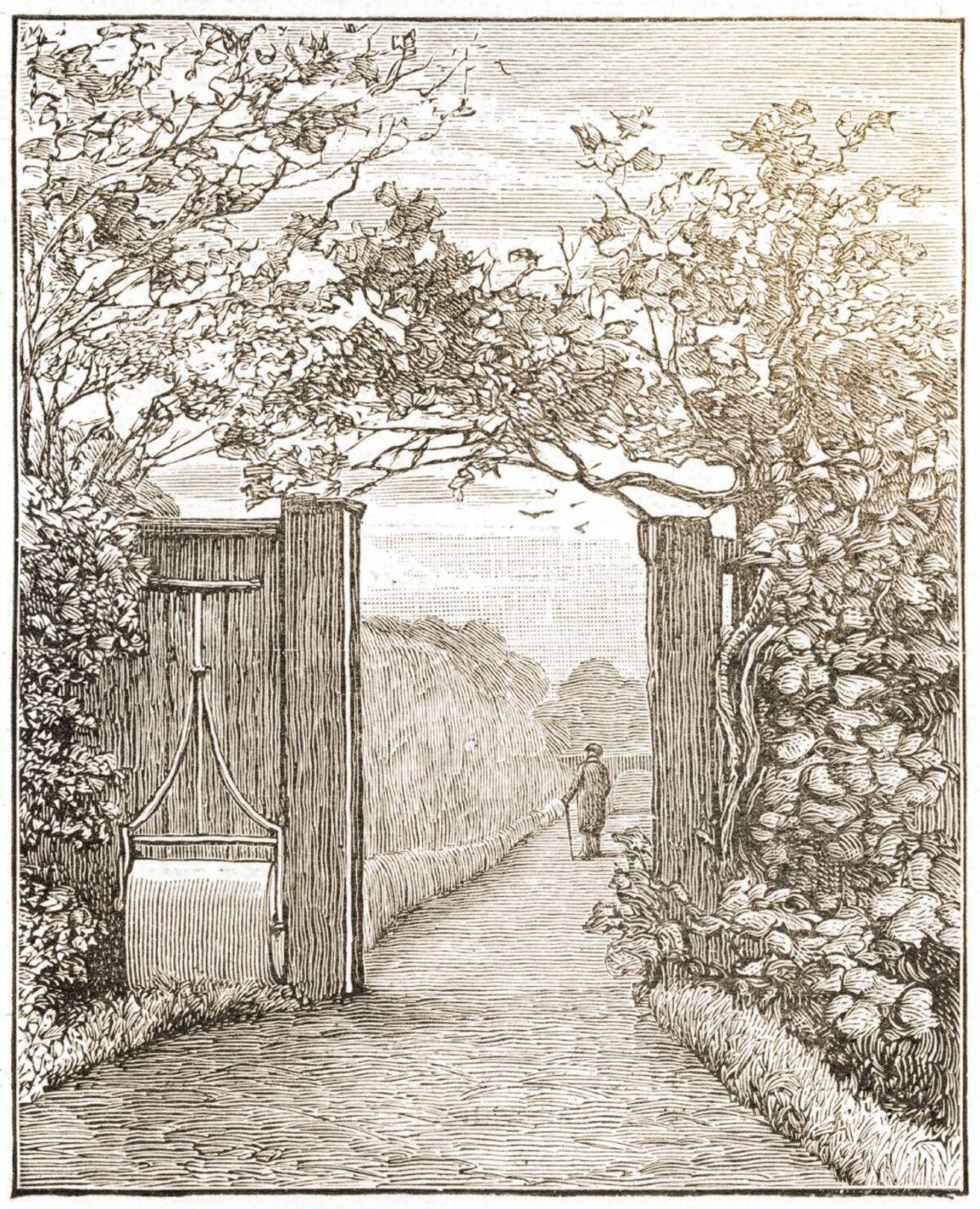 La lista de pros y contras de casarse que hizo Darwin (y las ventajas que ni él ni otros genios reconocieron)