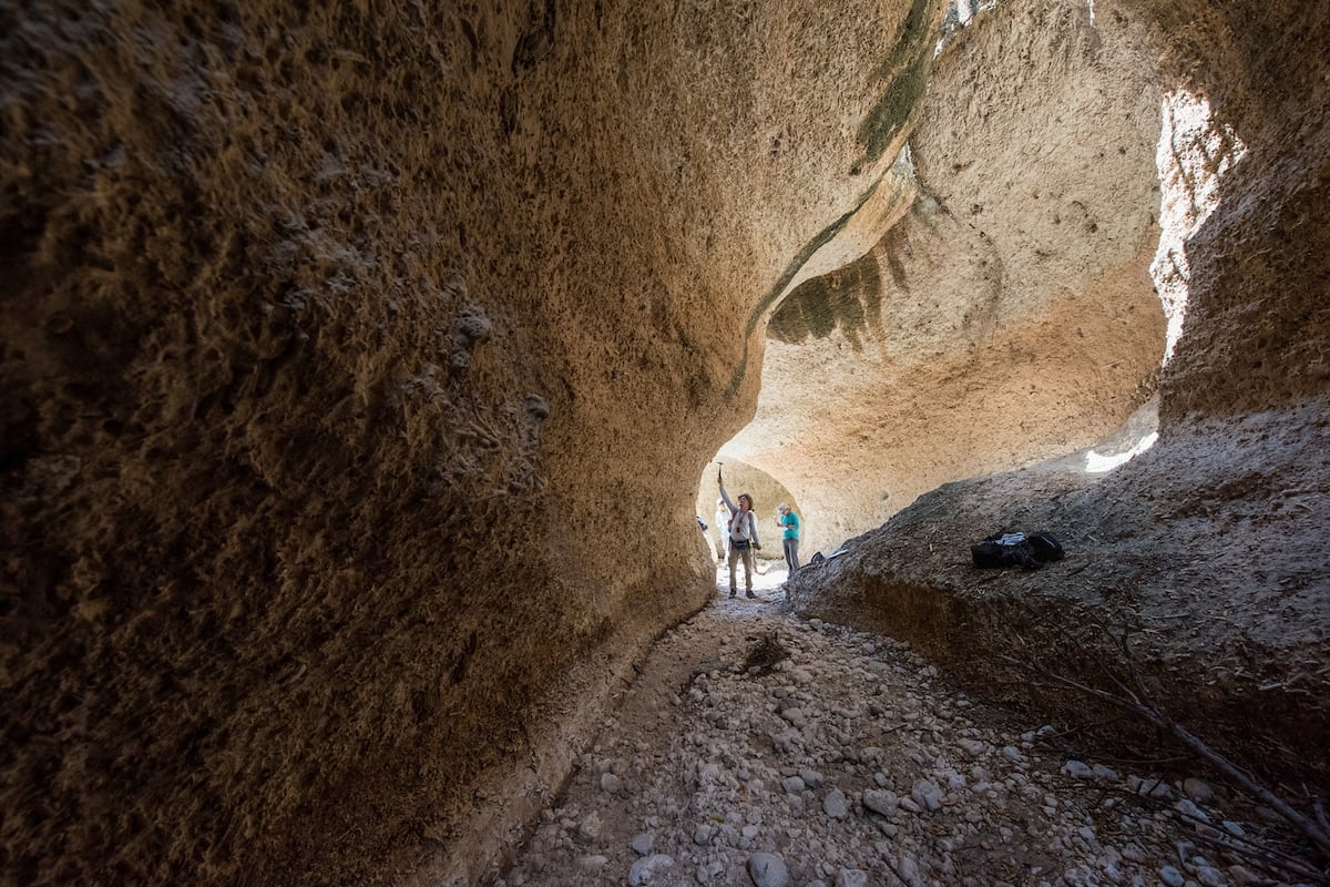 Fósiles expuestos de hace 7 mil años revelan cómo la pesca humana transformó los arrecifes del Caribe