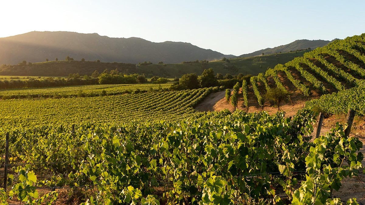 Los mejores lugares para viajar en 2026 según la BBC (y cuáles están en América Latina)