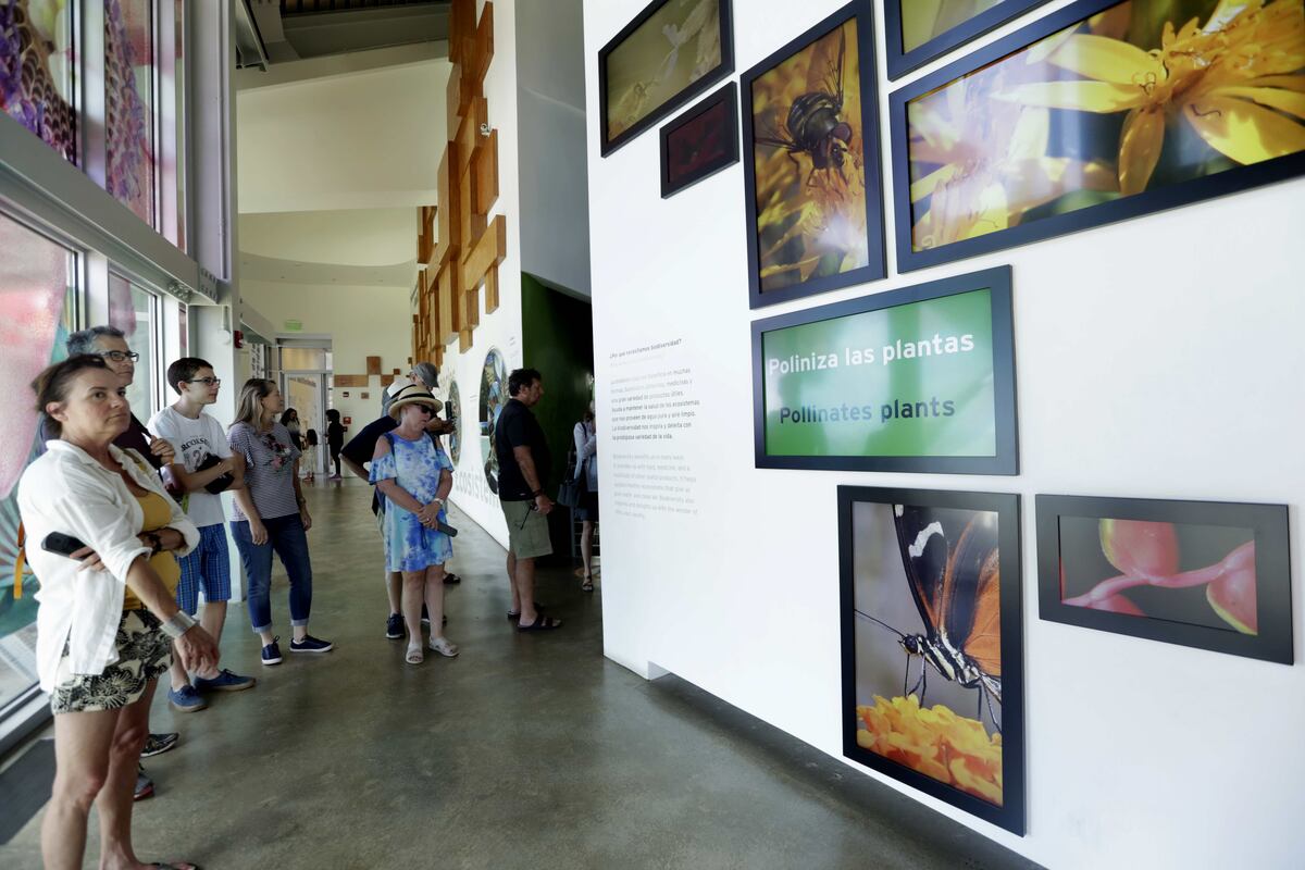 Aprender en fiestas patrias: 5 museos en Panamá que permanecerán abiertos durante los días feriados de noviembre