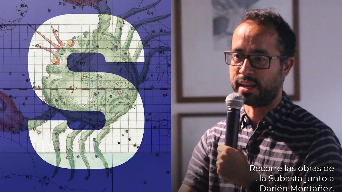 Subasta MAC 2026: El espacio donde artistas, obras y comunidad se encuentran 