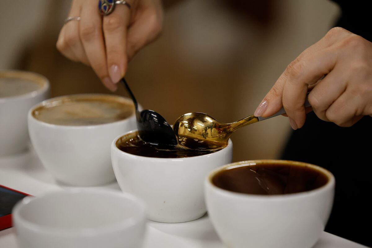 Una ventana al complejo mundo del café de lujo en Panamá con miras al ecoturismo