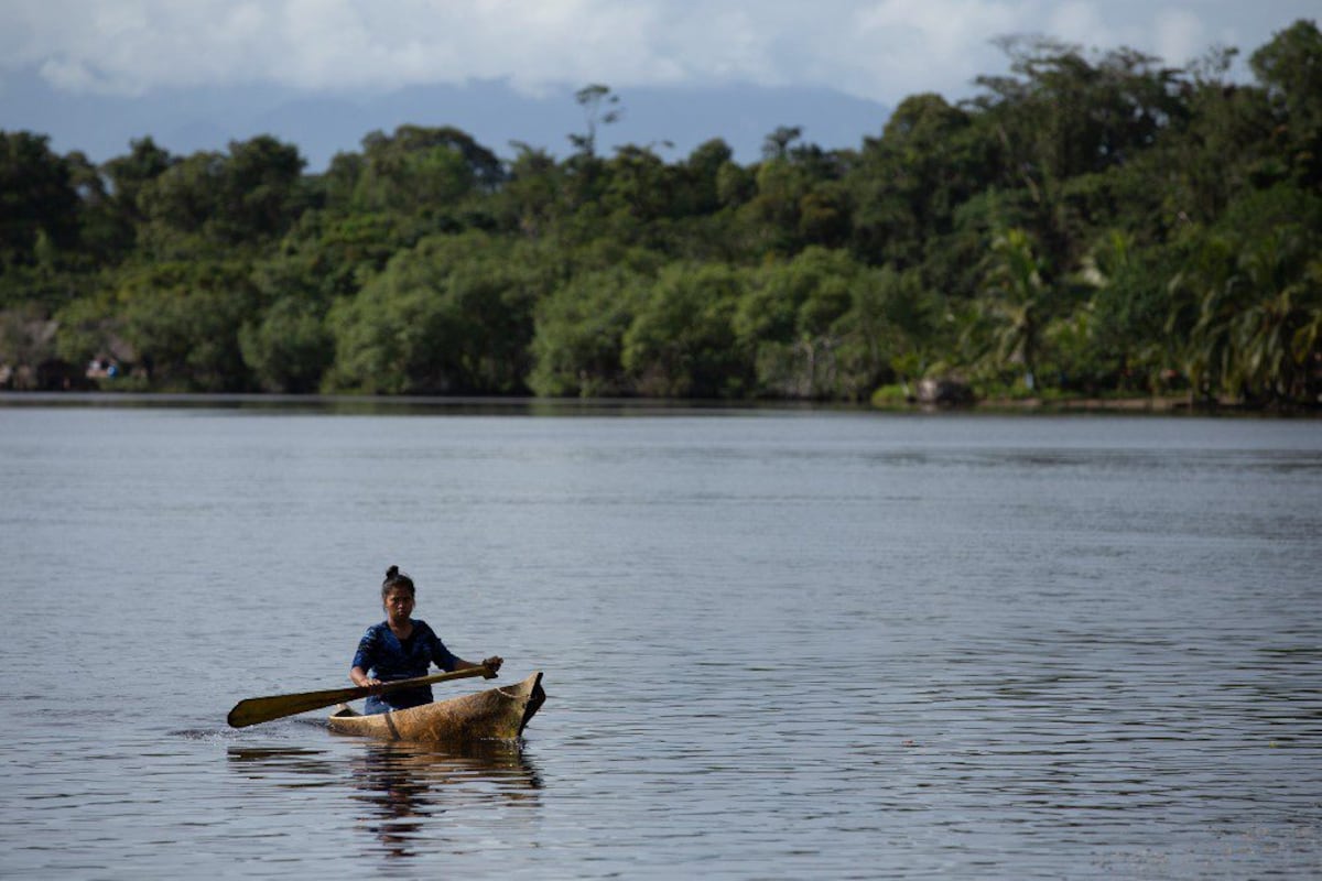Calalú y dashin: delicias en Río Caña