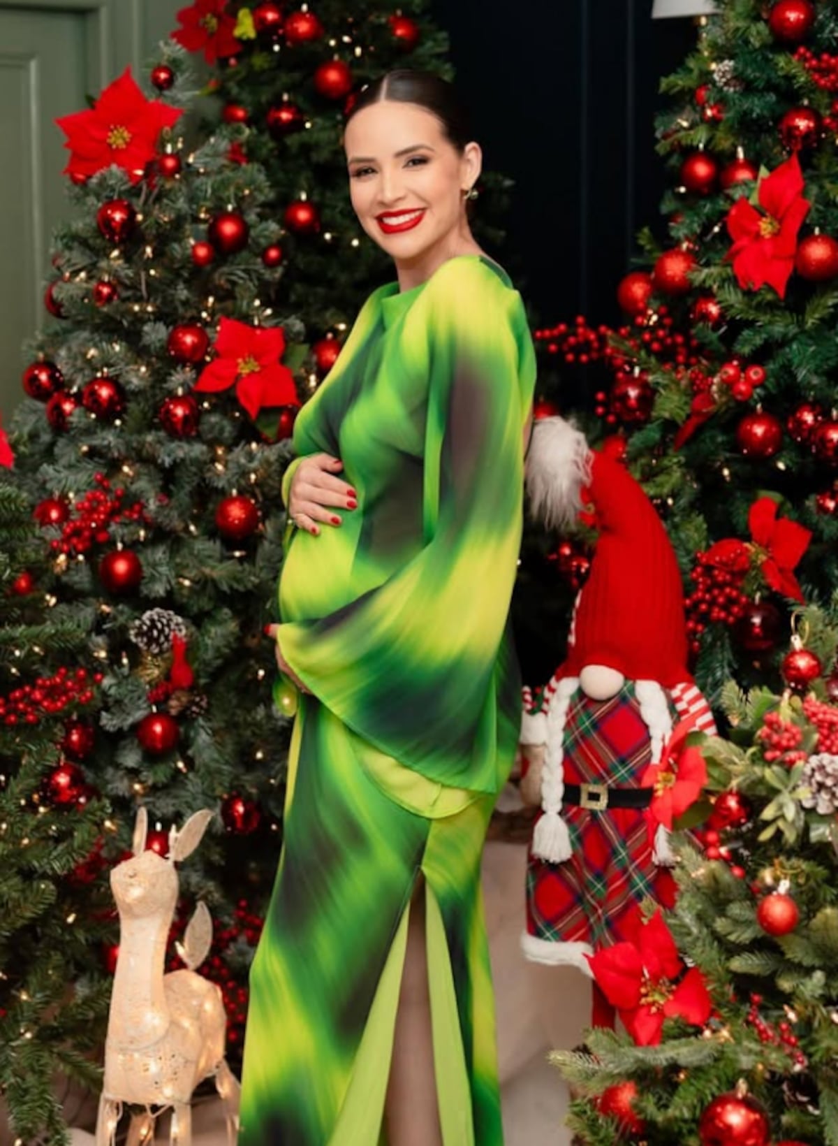 Figuras panameñas que se encuentran en la dulce espera para el 2025