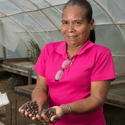 Liduvina Rivera y su café galardonado de Capira