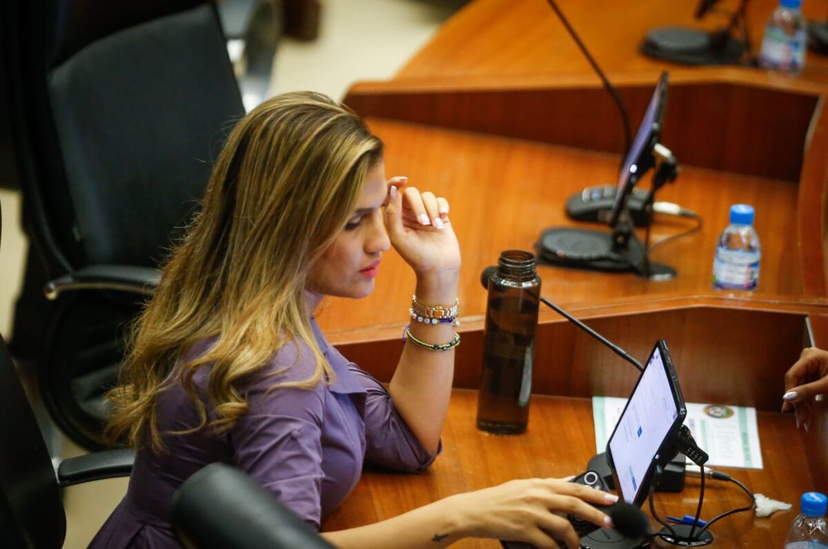 Diputada Alexandra Brenes: ‘La AN puede mejorar con personas que en verdad tengan la vocación del servicio y no de servirse’