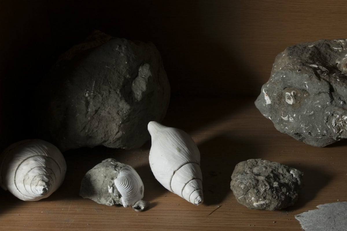 Ciencia frente al mar