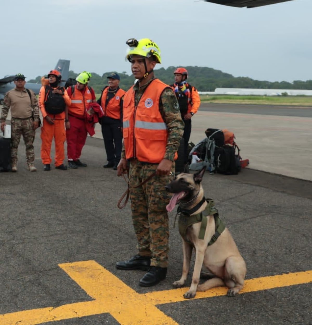 Arya, Rex, Baileys y Blade, los perros rescatistas panameños que han trabajado en la búsqueda de sobrevivientes en Venezuela