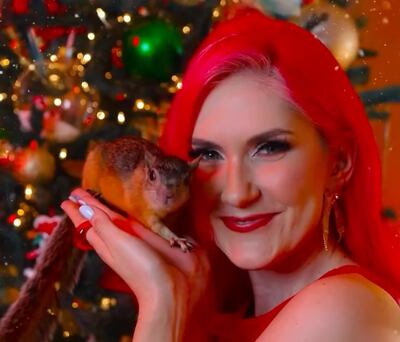 La historia de Chip, la ardilla que vive en un apartamento en Panamá