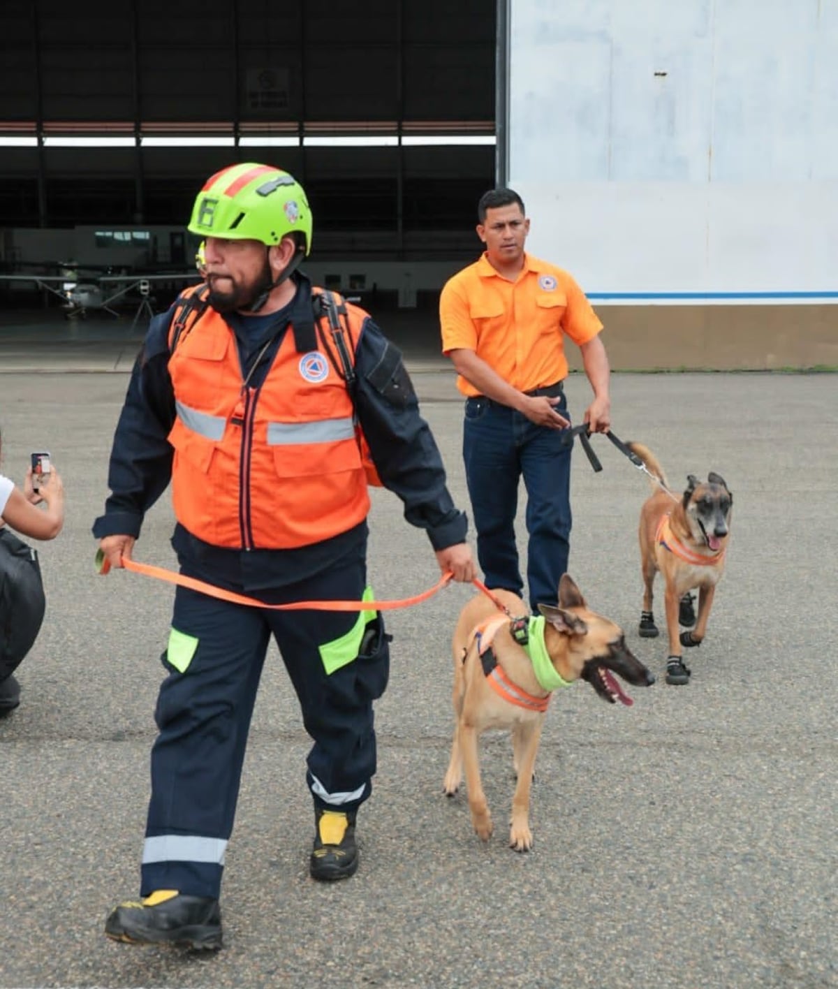 Arya, Rex, Baileys y Blade, los perros rescatistas panameños que han trabajado en la búsqueda de sobrevivientes en Venezuela