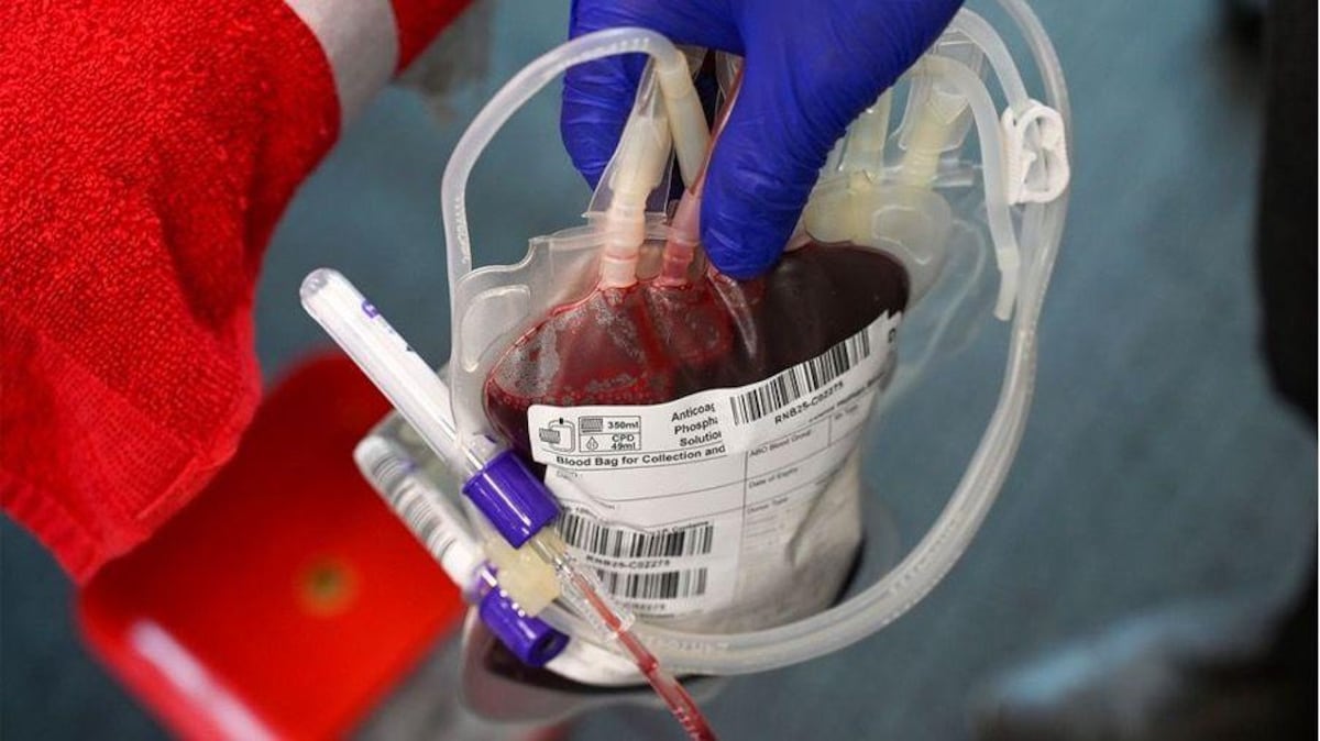 ‘Sangre dorada’: por qué los científicos están intentando cultivar la sangre más rara del mundo en un laboratorio
