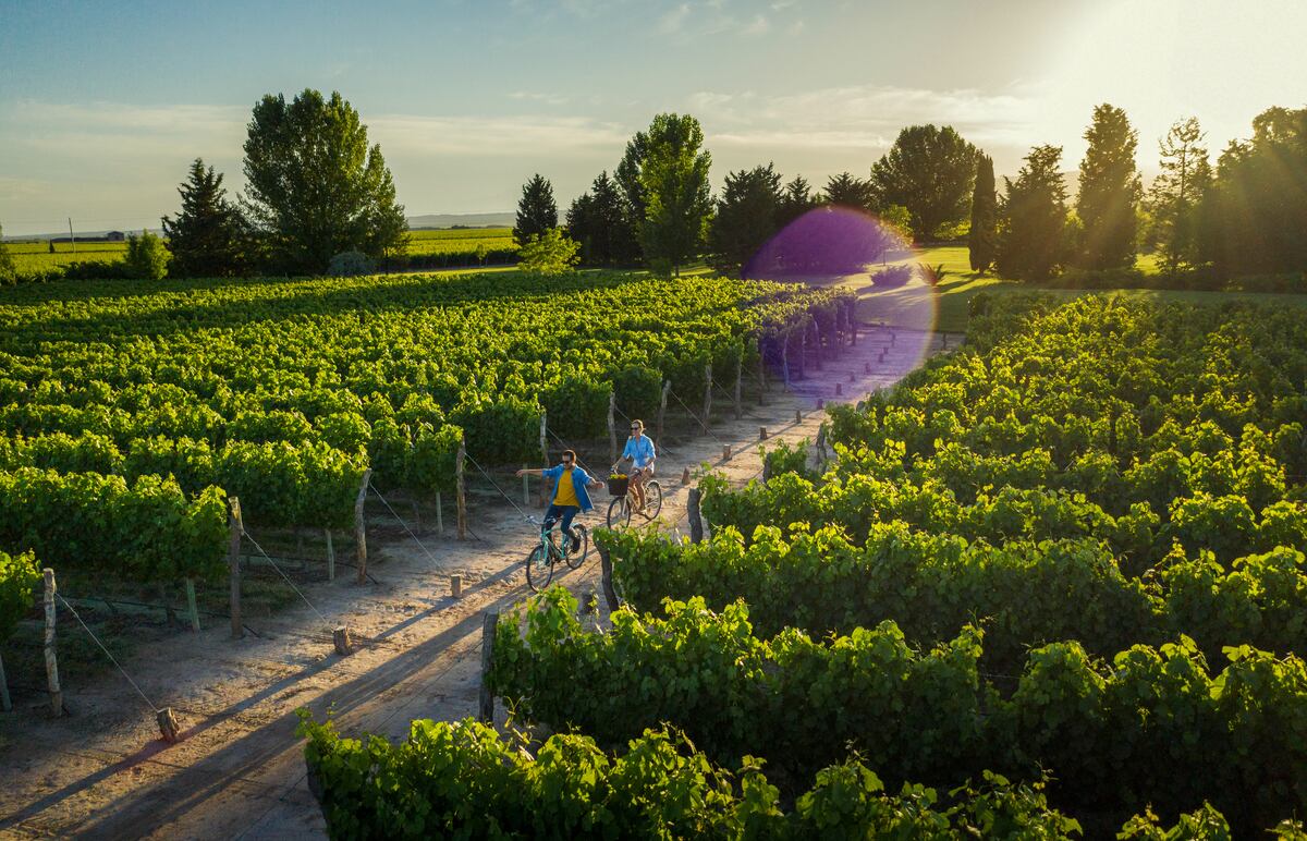 De Iguazú a la Patagonia, los destinos del verano argentino más allá de la playa