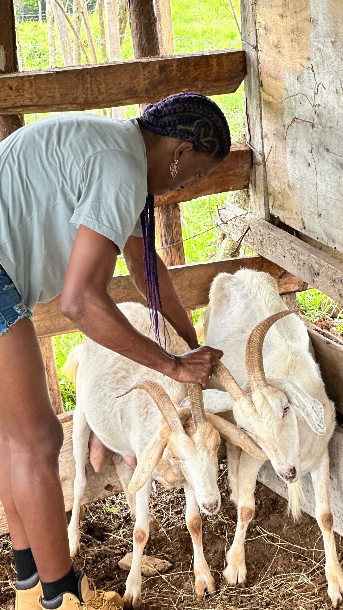 Atheyna Bylon y los animales que tiene en su finca en Chepo