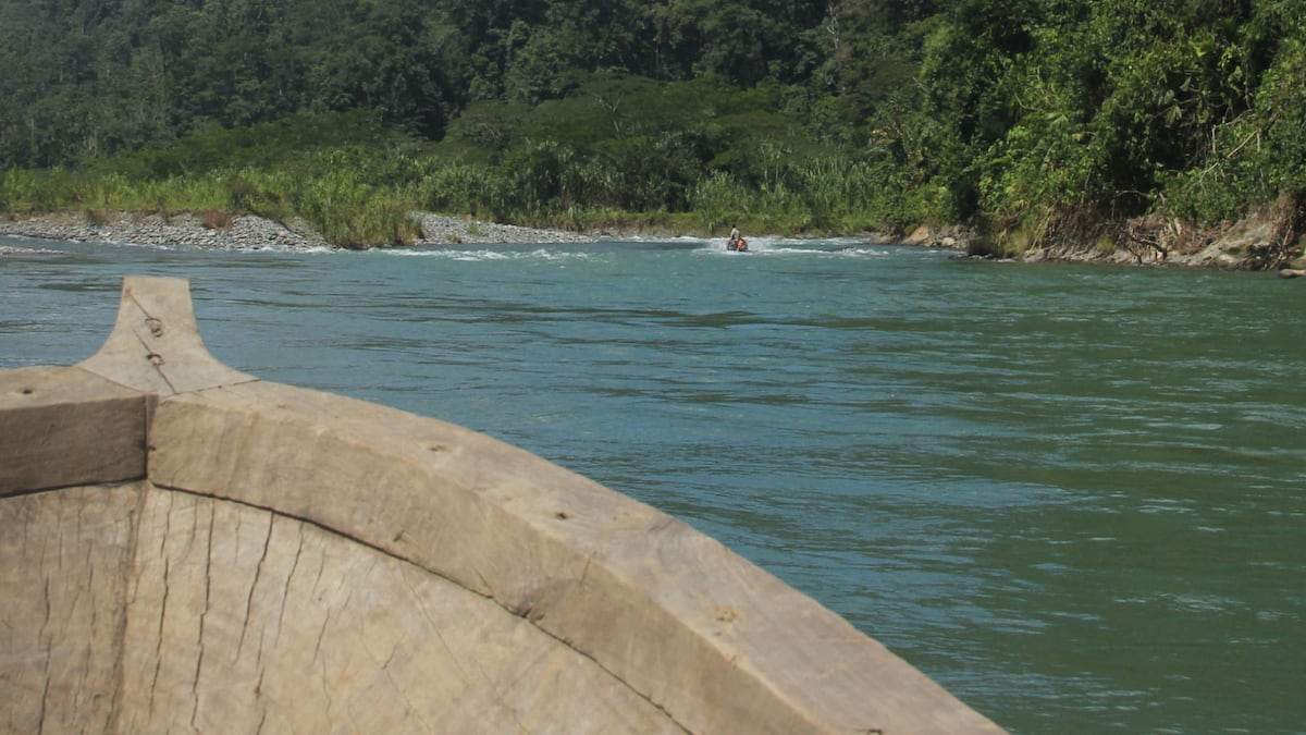 Las 7 películas panameñas que se proyectarán en el IFF Panamá 2026