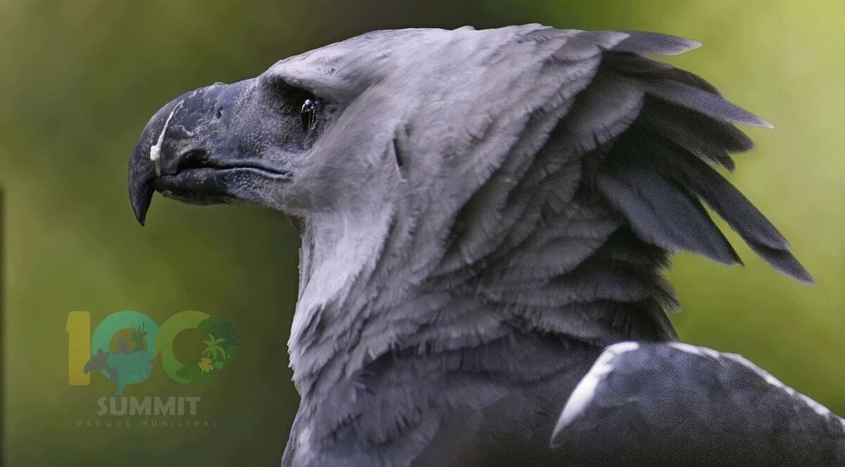 Actividades en Panamá para disfrutar esta semana de vacaciones escolares