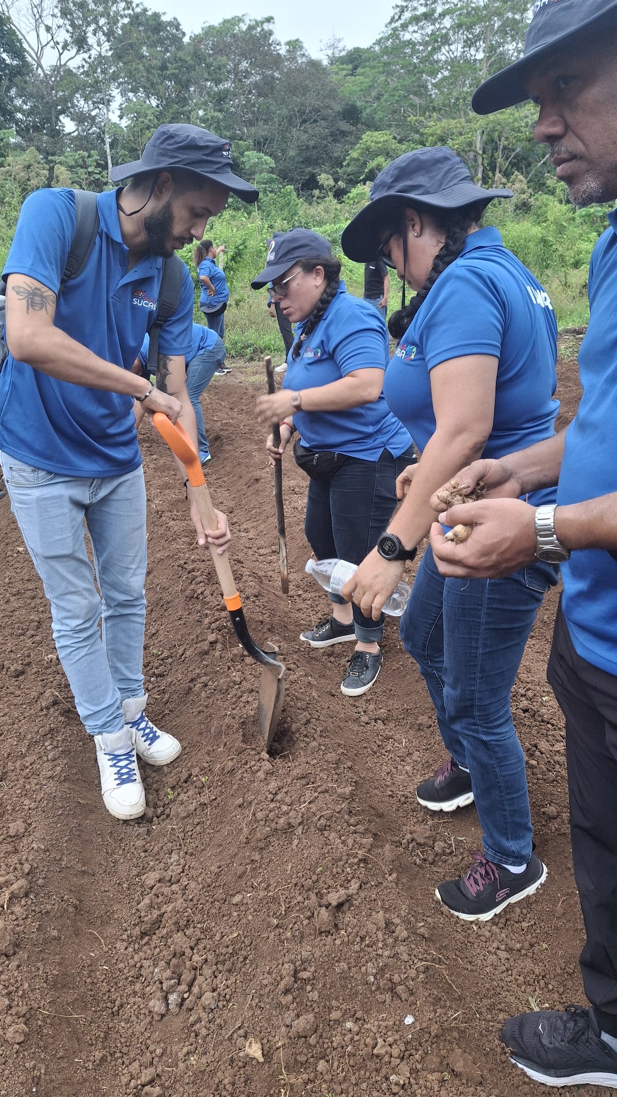 Voluntarios en acción