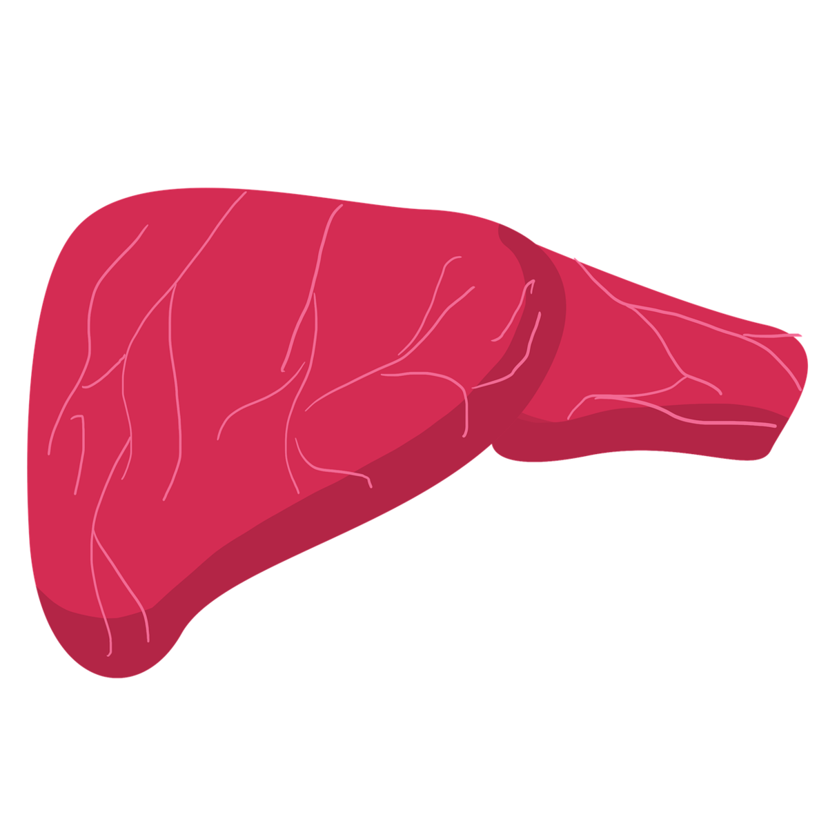 Hepatocarcinoma: la importancia del diagnóstico temprano y la vigilancia