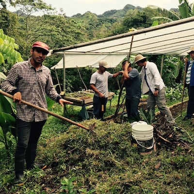 La permacultura florece en Panamá