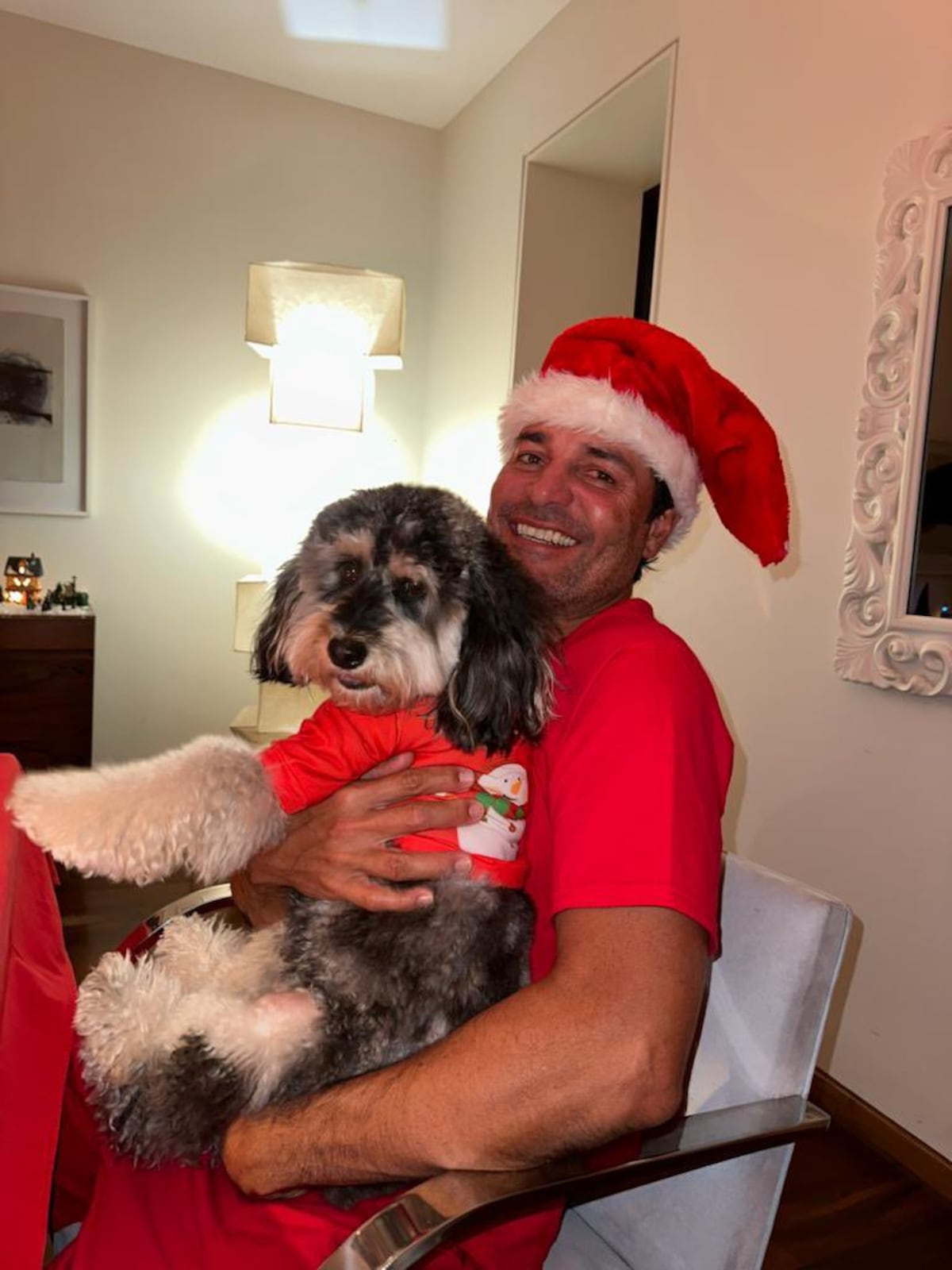 Así pasaron las navidades Shakira, Chayanne, Dua Lipa, Anitta y otros famosos