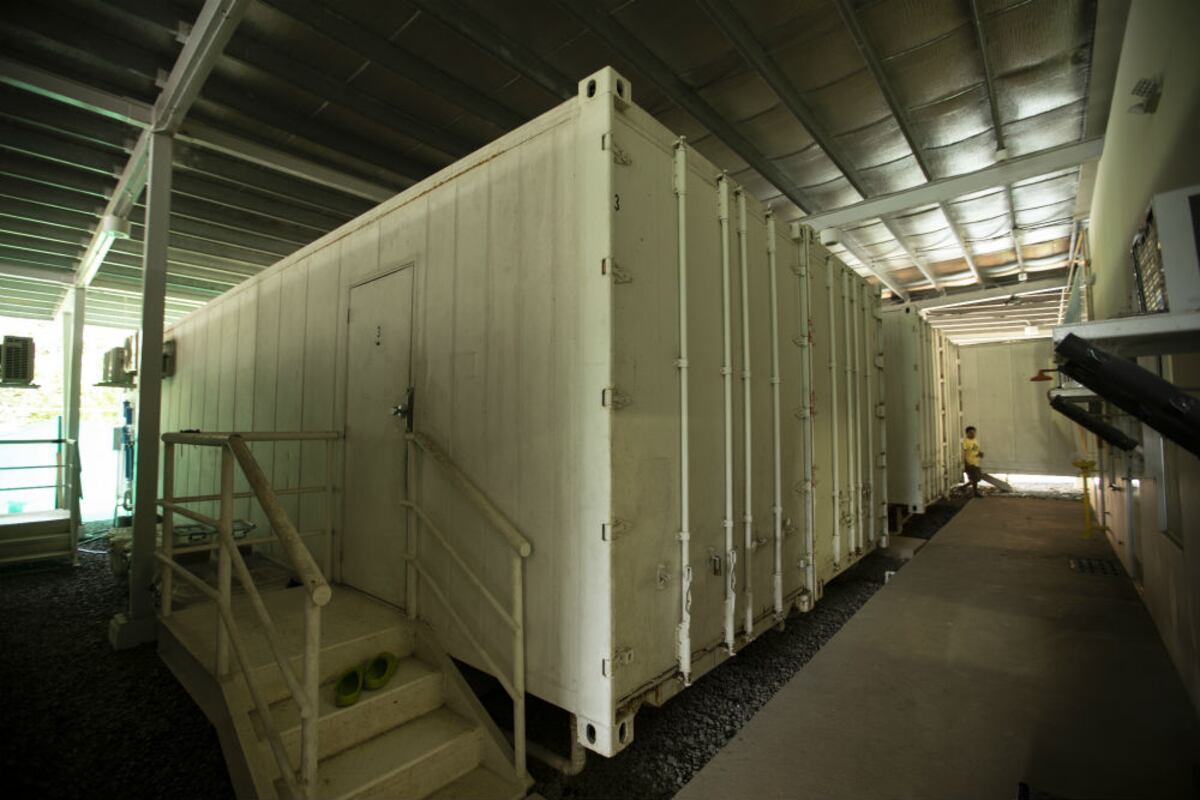 Gina Della Togna: ‘Todo tiene una función, desde el sapo más feo hasta la rana más bonita’