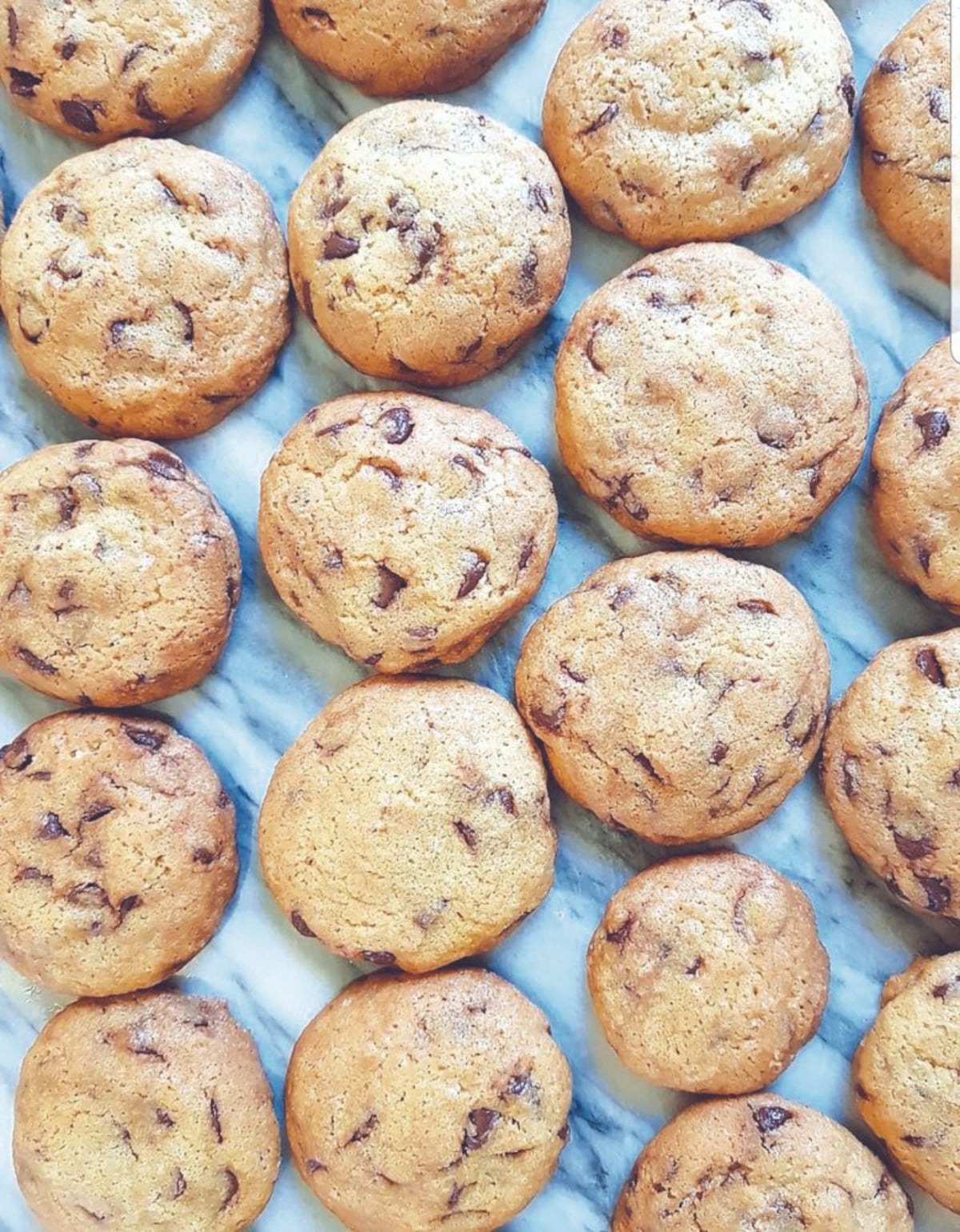 Un antojo recién salido del horno, cinco lugares en Panamá para probar galletas
