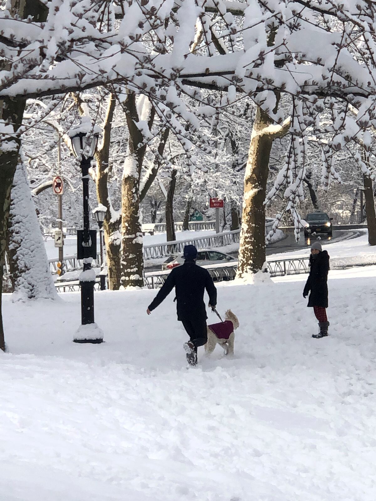 Dime cuánto andas y te diré cómo de transitable es el lugar donde vives