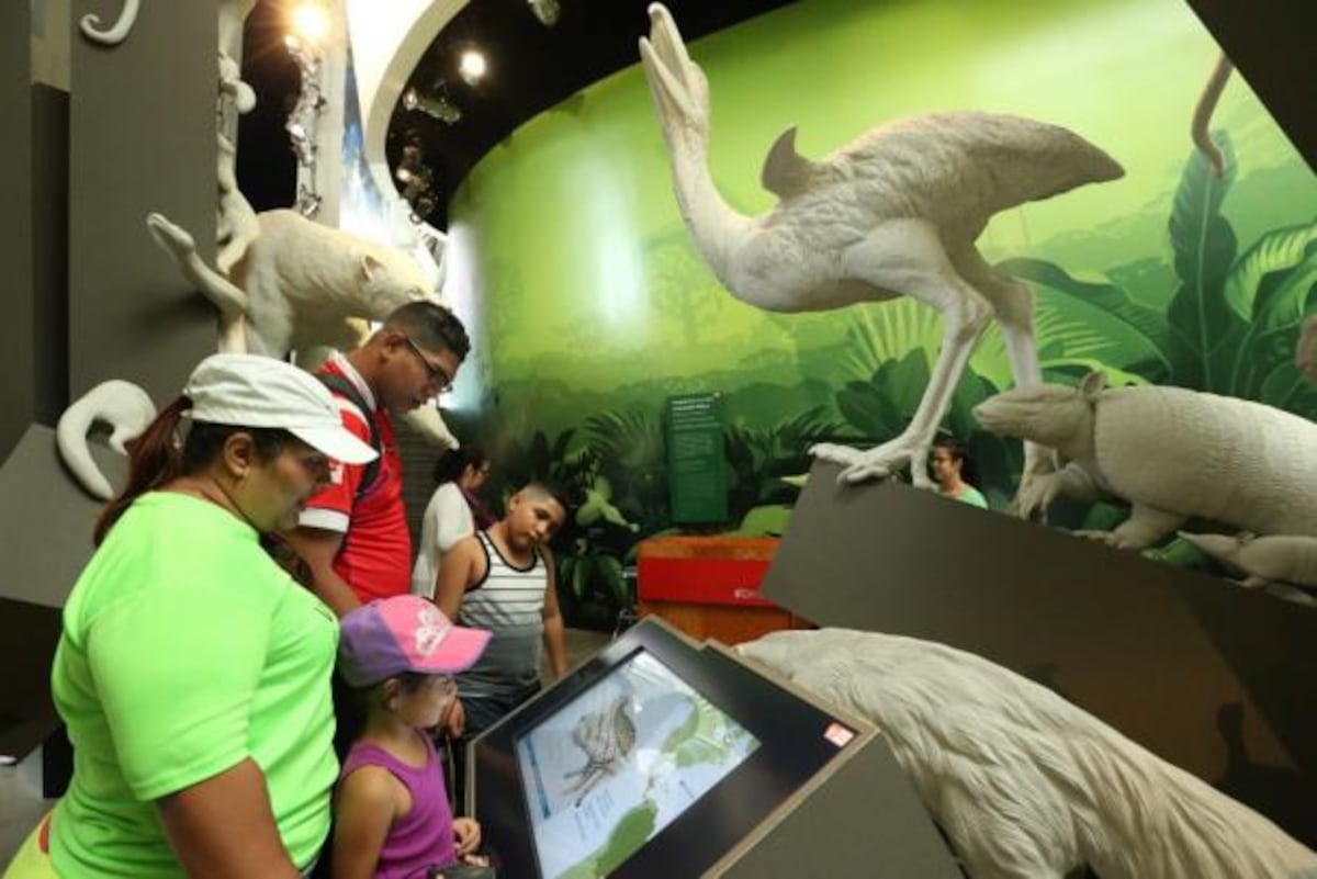 Domingos de biodiversidad.