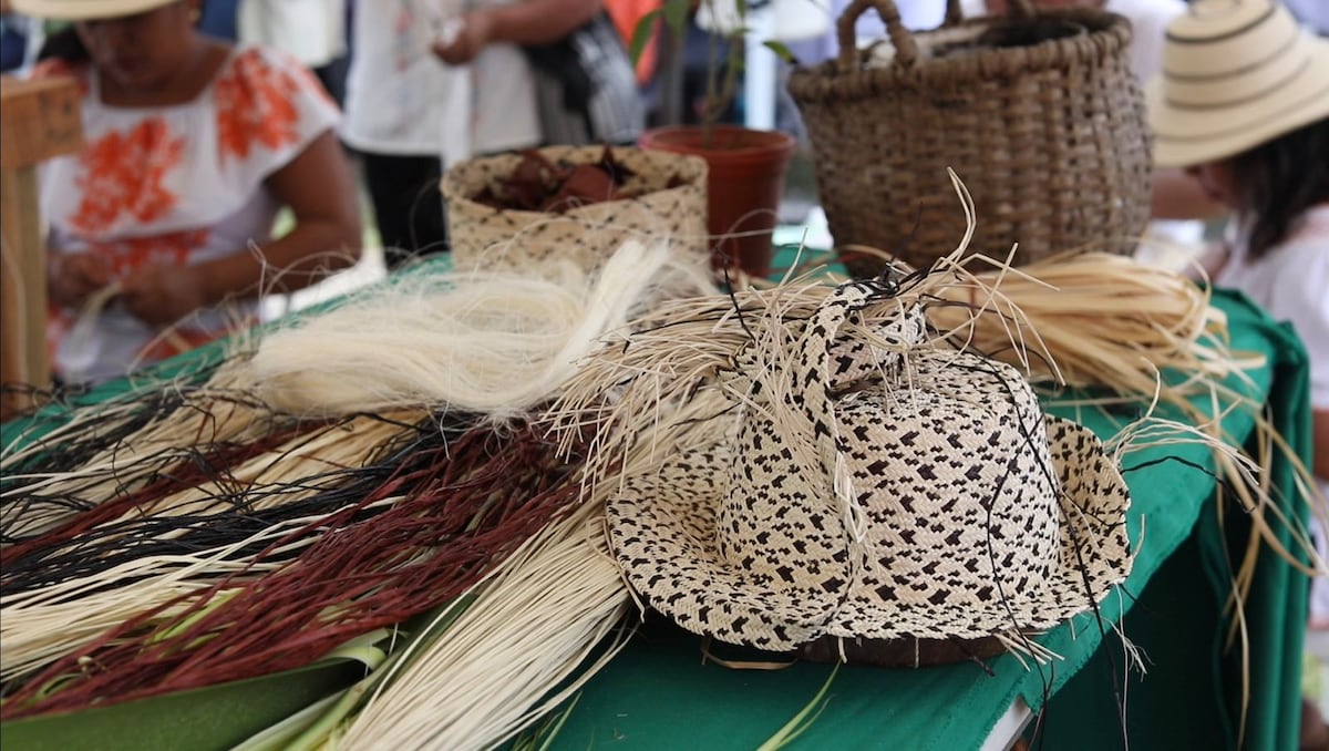 La artesana Gloria Lina Hernández y el arte de confeccionar sombreros pintaos