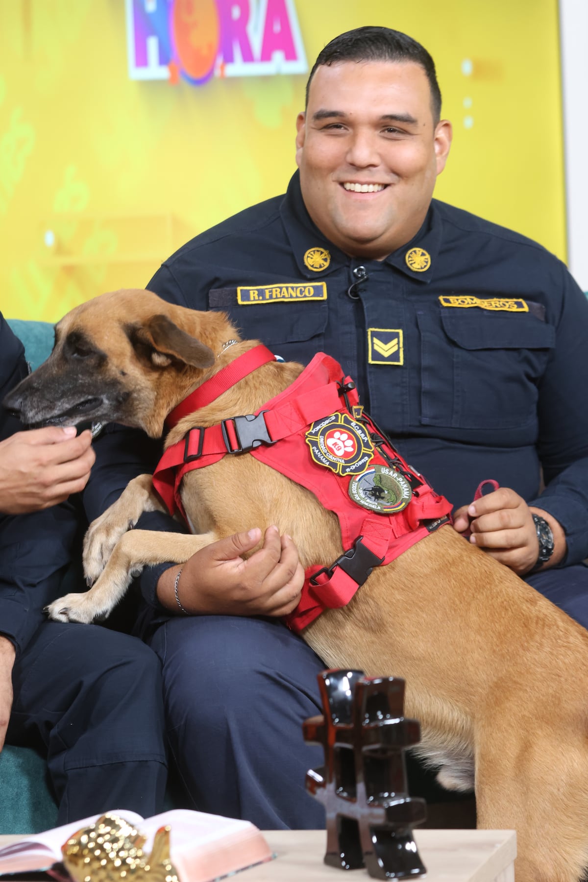 Entre ladridos y esperanza: la historia de los perros panameños que viajaron a Venezuela para buscar sobrevivientes