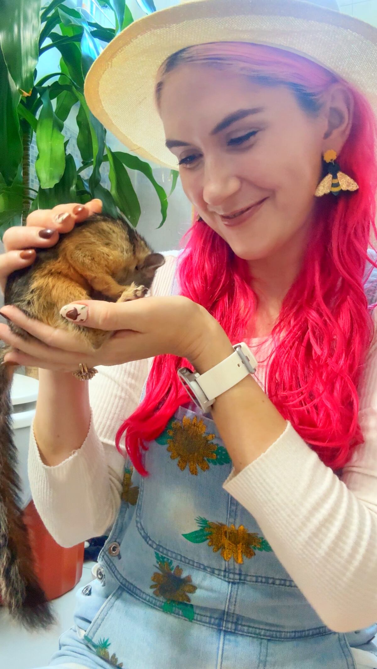 Chip: la ardilla que vive en un apartamento