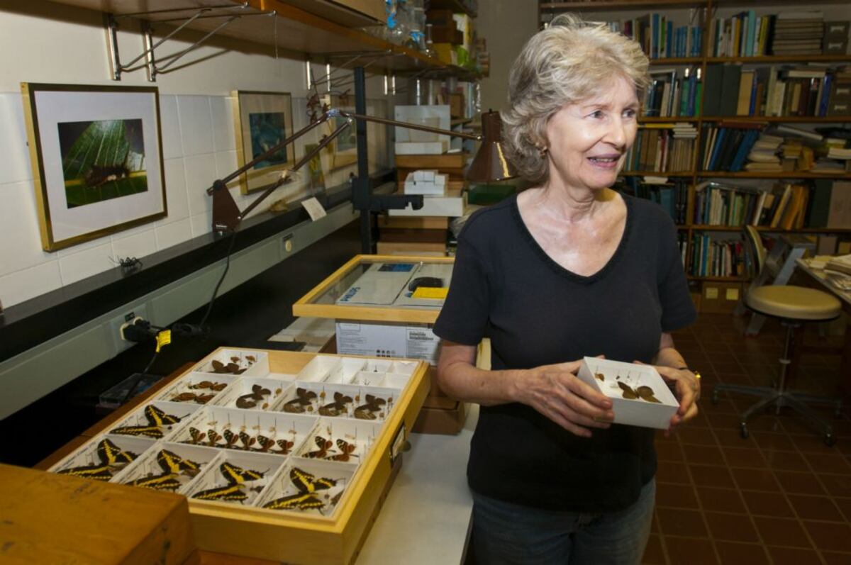 No es popo, es una joya