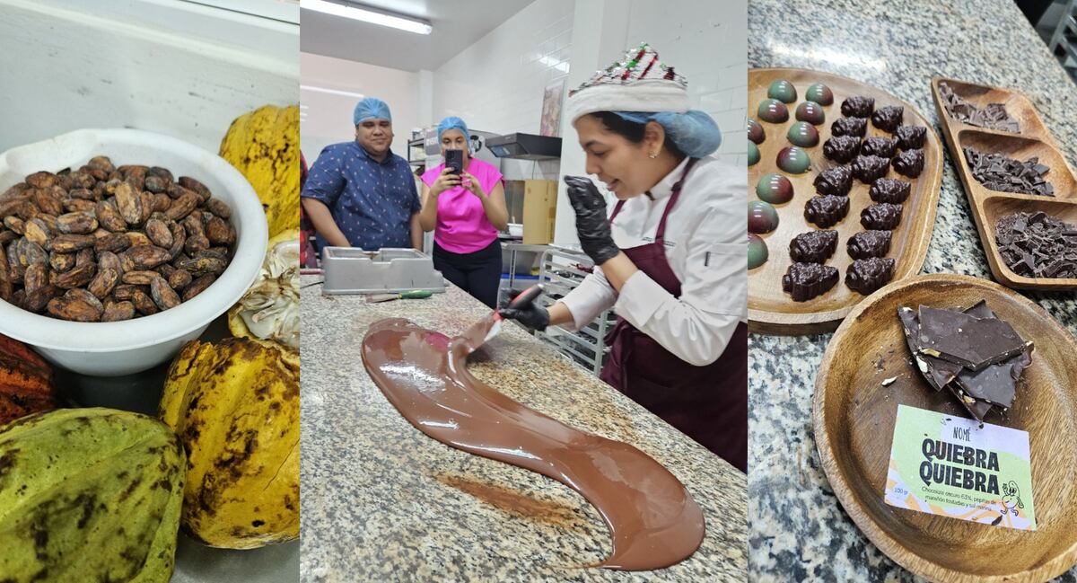 Un taller de chocolate para aprender sobre su dulce beneficio para la salud