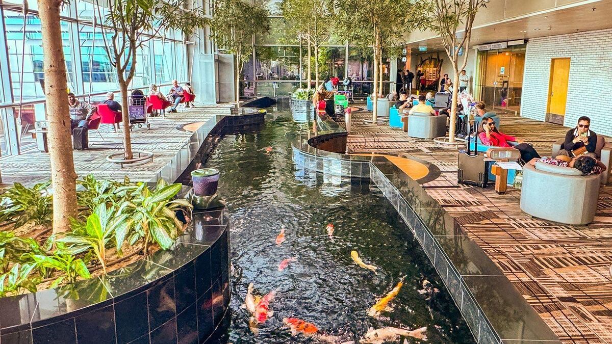 Cómo es el mejor aeropuerto del mundo (y cuál es el secreto para que sea un paraíso para los viajeros)