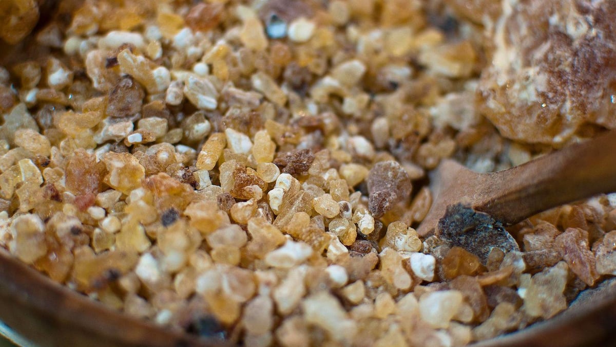 Por qué el mundo se está quedando sin olíbano, la preciosa resina aromática que se ha usado durante milenios para hacer incienso