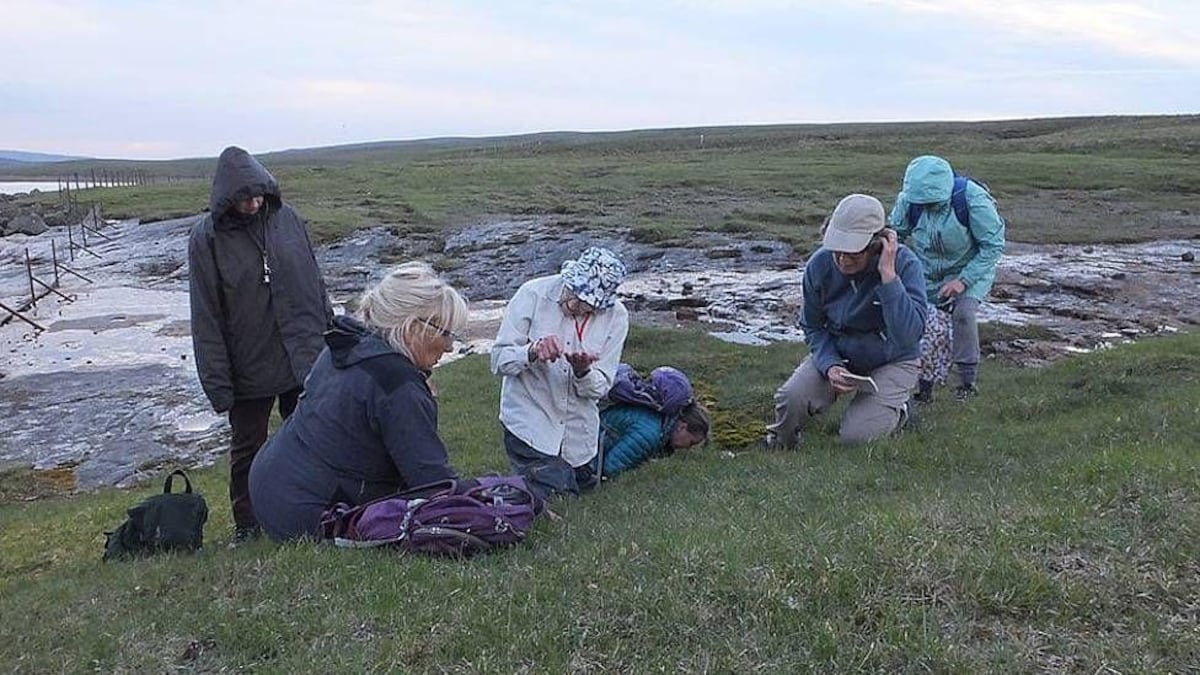 Margaret Bradshaw, la botánica de 100 años que lucha por salvar una flora única