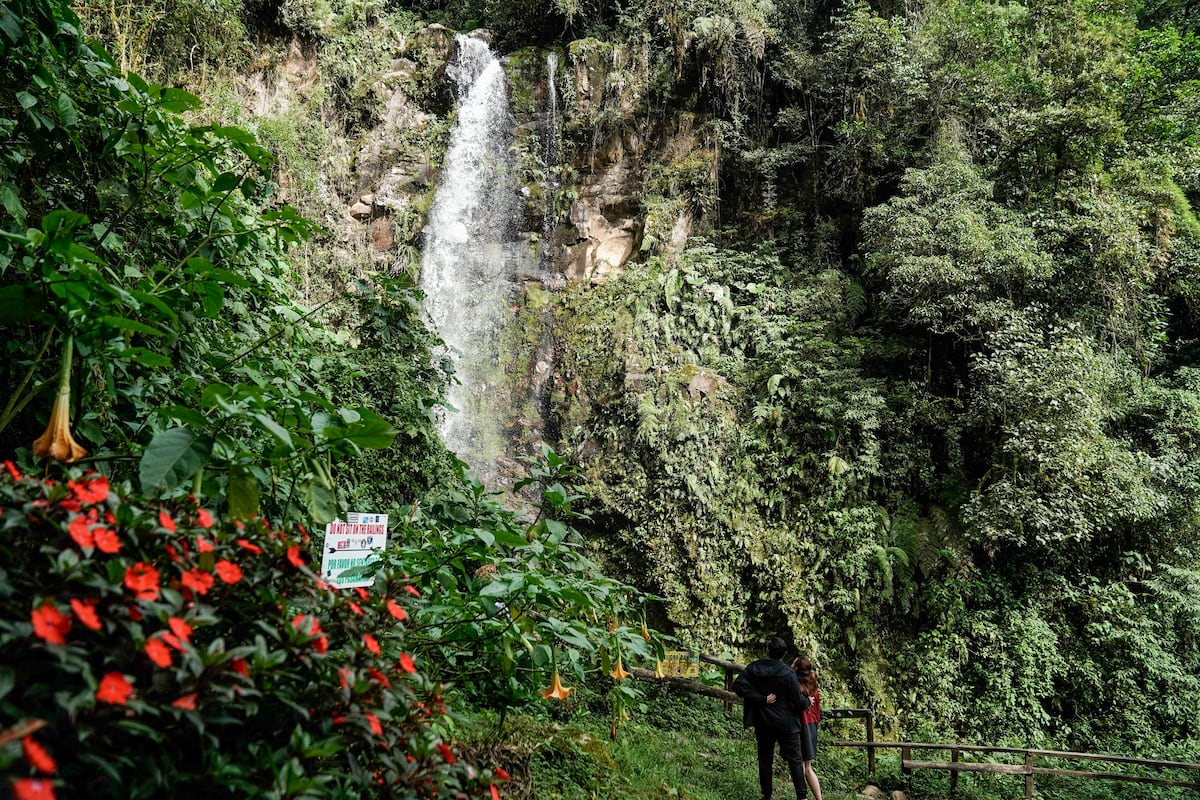 Chiriquí, la joya panameña entre cafetales y un volcán